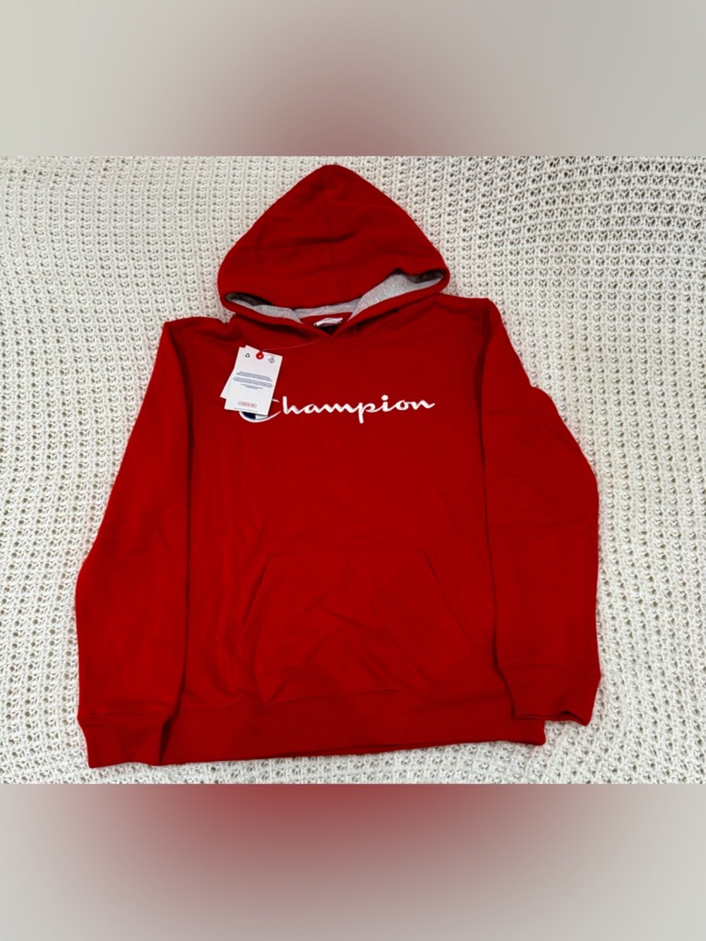 Champion Big Boys Signature Pullover Hoodie in lychee size XL